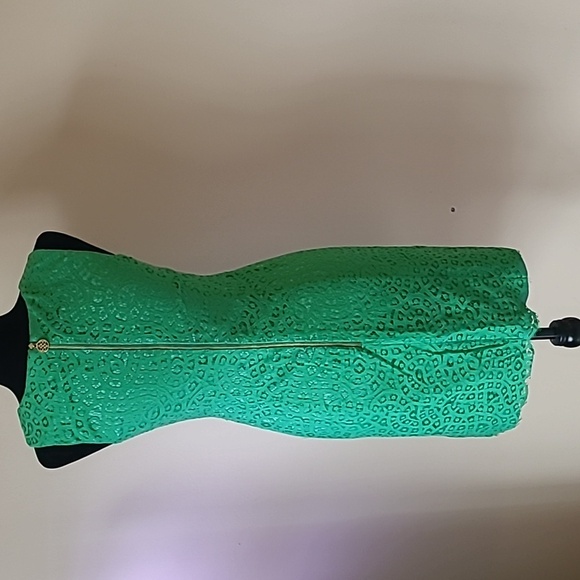 Antonio Melani green lace dress w/gold back zipper size 2 - Picture 4 of 8